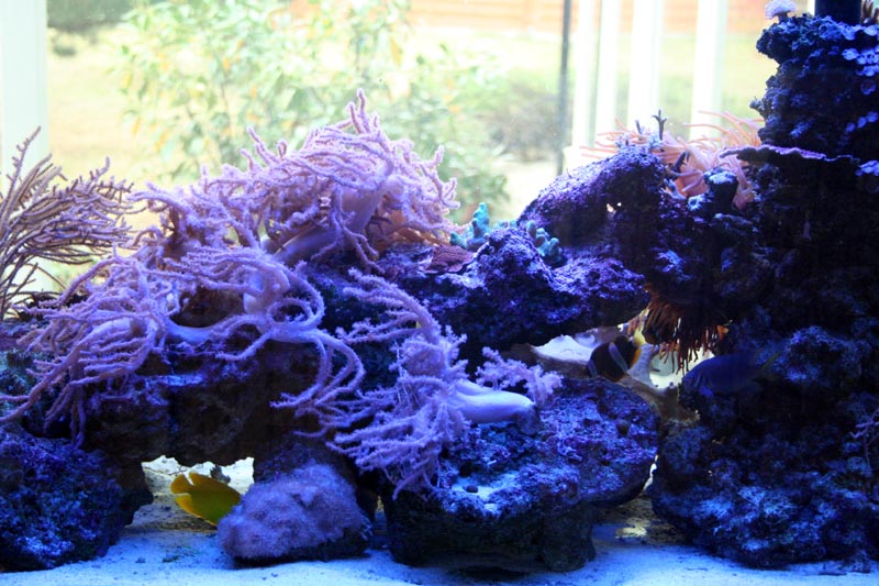 Killikus® Fotographie Killikus® Fotographie